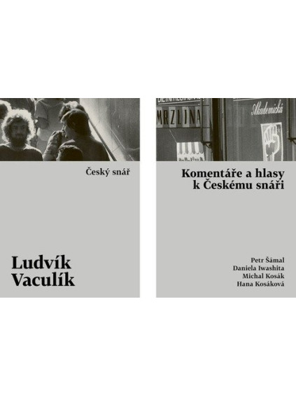 Český snář s komentářovým výkladem