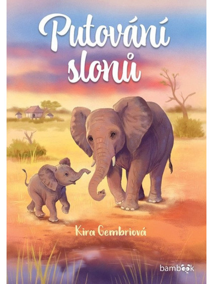 Putování slonů