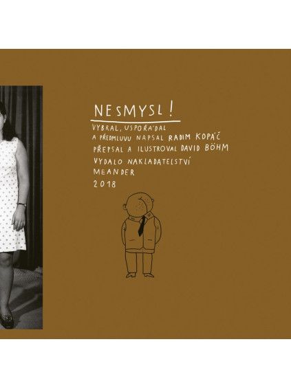 Nesmysl