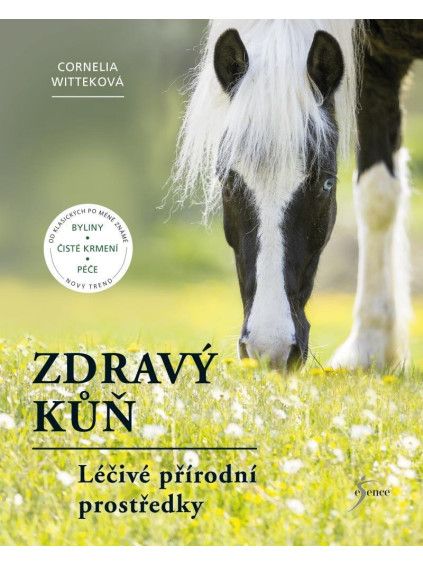 Zdravý kůň
