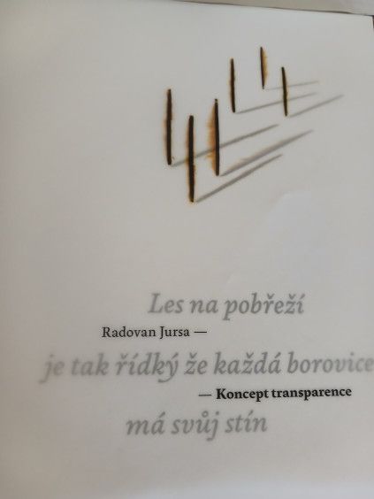 Koncept transparence