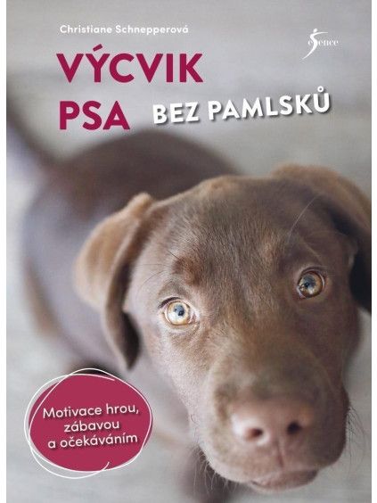 Výcvik psa bez pamlsků