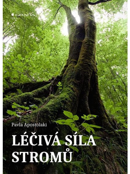 Léčivá síla stromů
