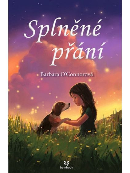 Splněné přání