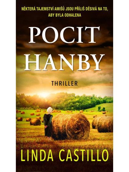 Pocit hanby
