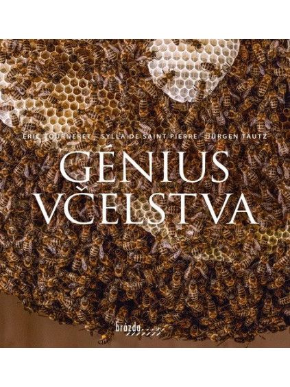 Génius včelstva