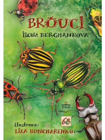 Brouci