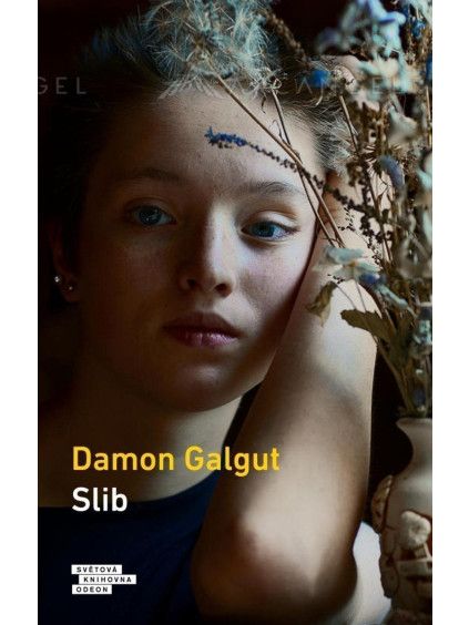 Slib