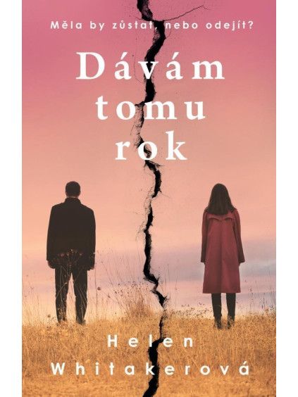 Dávám tomu rok