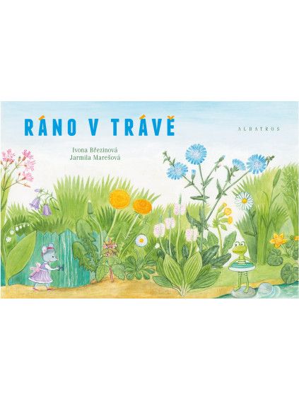 Ráno v trávě