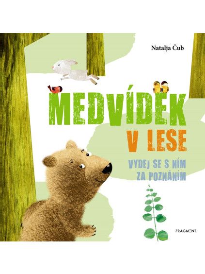 Medvídek v lese