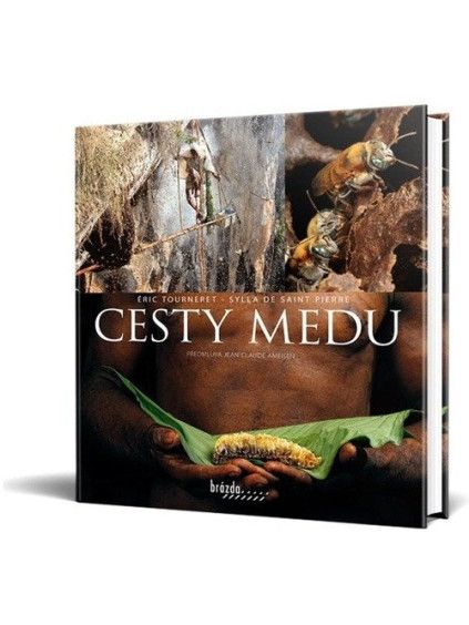 Cesty medu