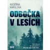Odbočka v lesích