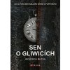 Sen o Gliwicích