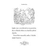 Zvířátka z Kouzelného lesa – Králíček Káťa