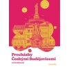 Procházky Českými Budějovicemi