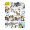 Asterix 35 - Asterix u Piktů