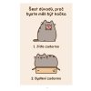 Pusheen - Já, košišta