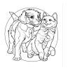 Kočky a psi – omalovánky