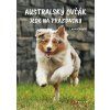 Australský ovčák jede na prázdniny