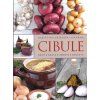 cibule