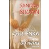 Vstupenka do neba - Sandra Brown