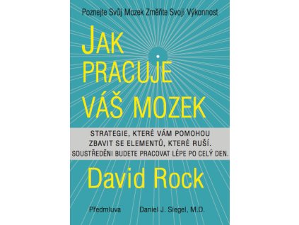 Jak pracuje váš mozek - Rock David
