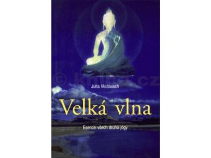 Velká vlna - kolektiv autorů