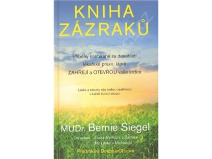 Kniha zázraků - Siegel S. Bernie