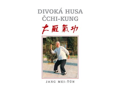 Divoká husa čchi-kung - Jang Mei-ťun