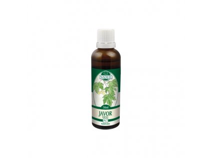 Javor P17 Naděje 50ml