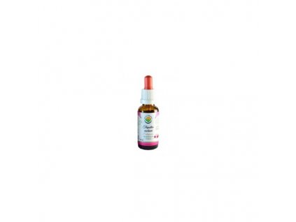 Echinacea - třapatka nachová AF tinktura BEZ ALKOHOLU - Salvia Paradise 50ml