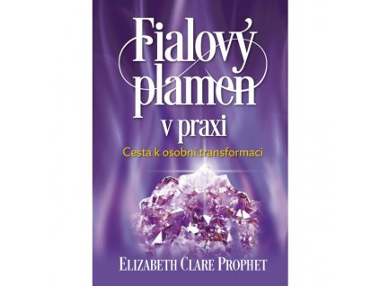 Fialový plamen v praxi