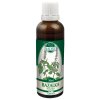 Bazalka posvátná P67 Naděje 50ml