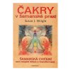 Čakry v šamanské praxi