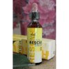 Bachovky - Krizové kapky Bachova Terapie Original Rescue kapky BEZ ALKOHOLU Trophen (s glycerinem) 20ml