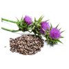 Ostropestřec plod drcený Rosa Canina 100g