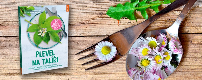 Plevel na talíři - 50 receptů z divokých bylin