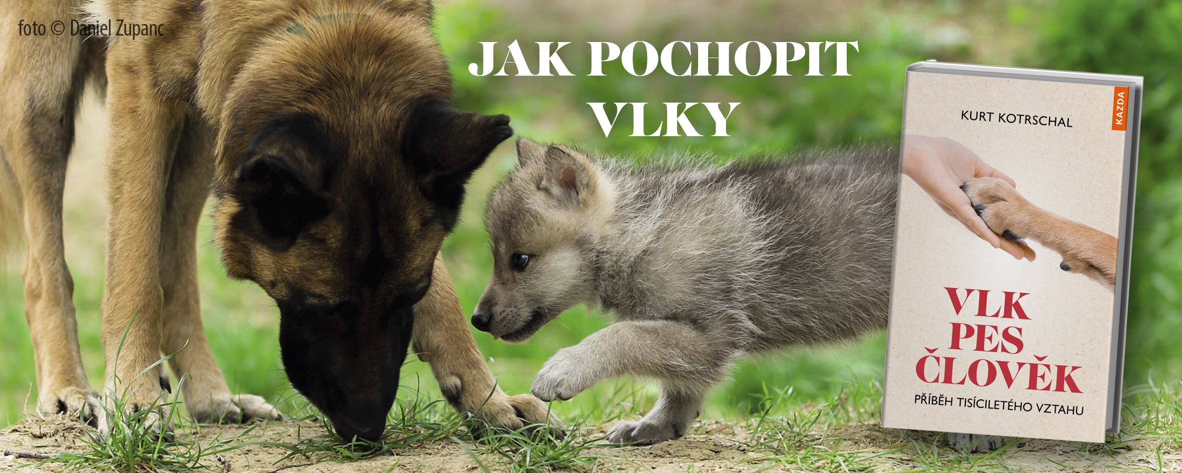 Vše, co jste chtěli vědět o vlcích, psech i člověku