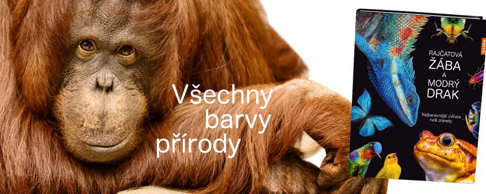 Vstupte do barevného světa živočichů