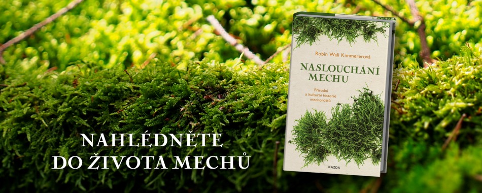 I mech si zaslouží naši pozornost