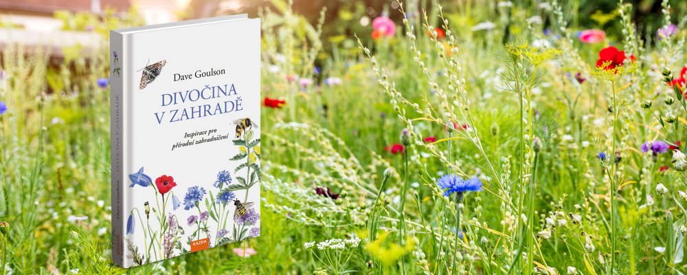 Jaké je to mít divočinu v zahradě