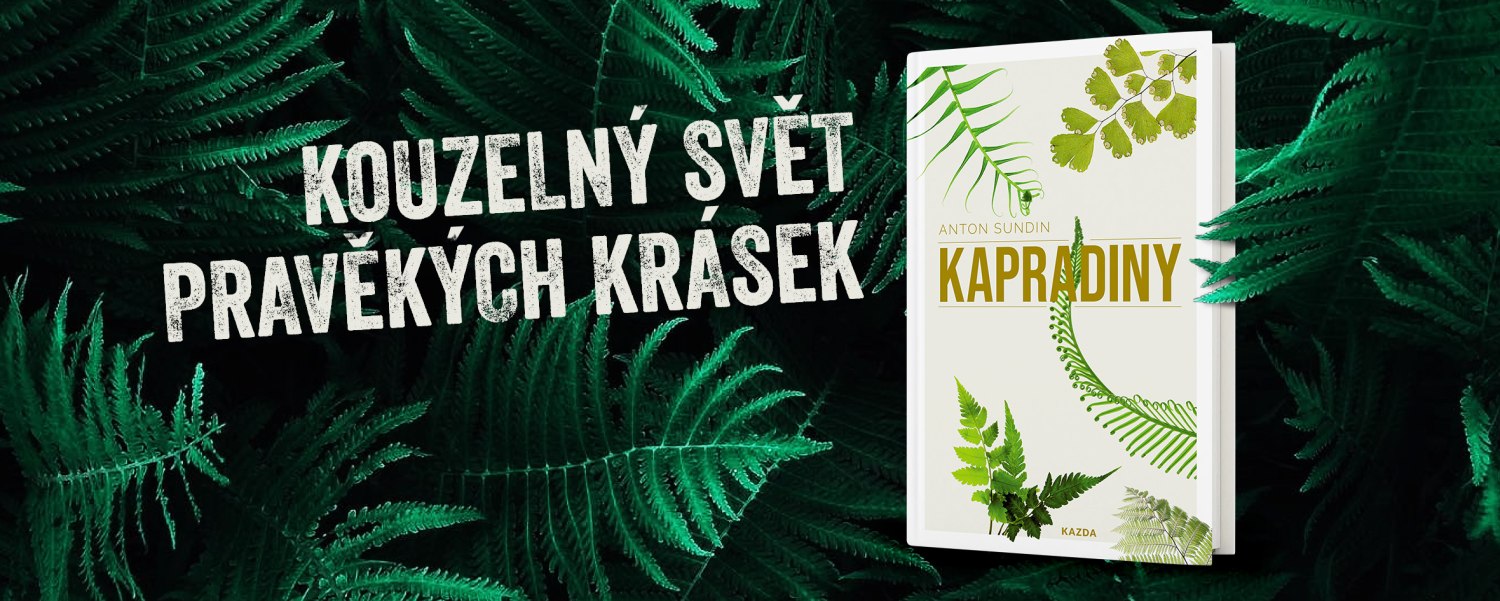 Snaha o obnovení kapradinové horečky