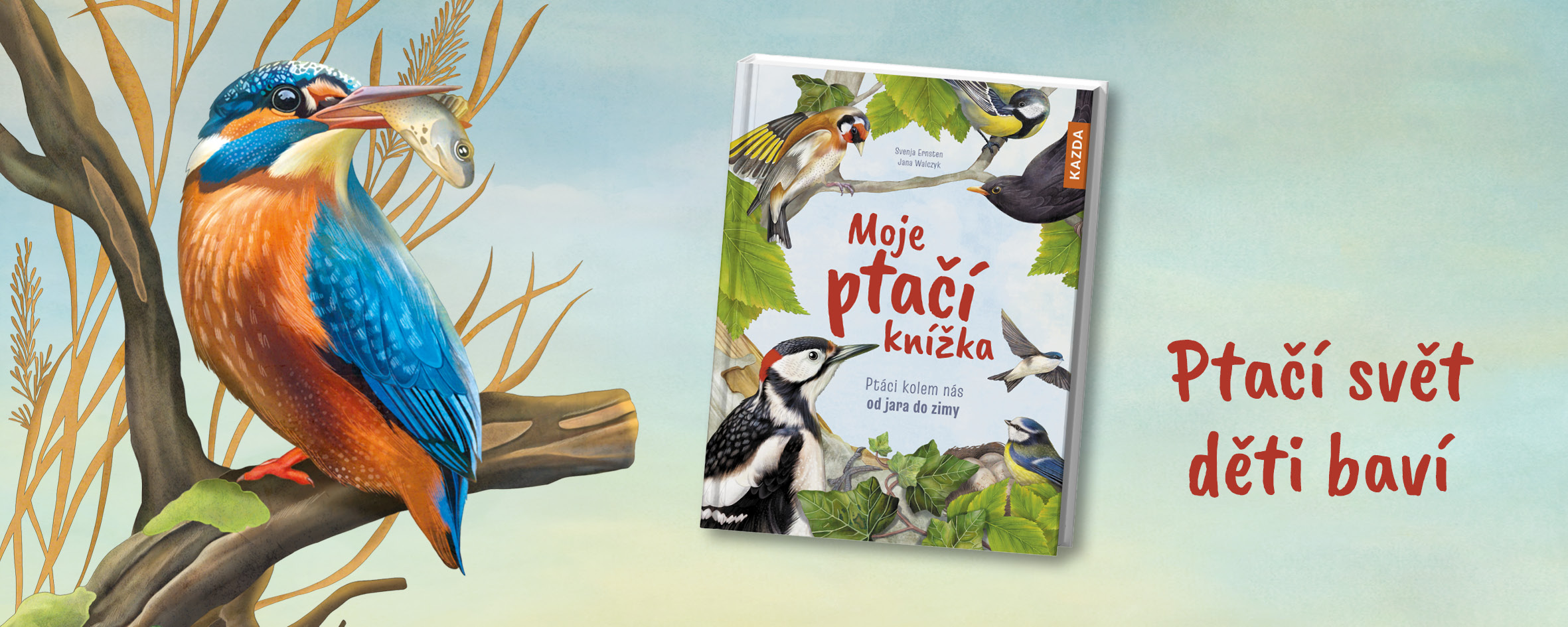 Moje ptačí knížka - ptáci kolem nás od jara do zimy