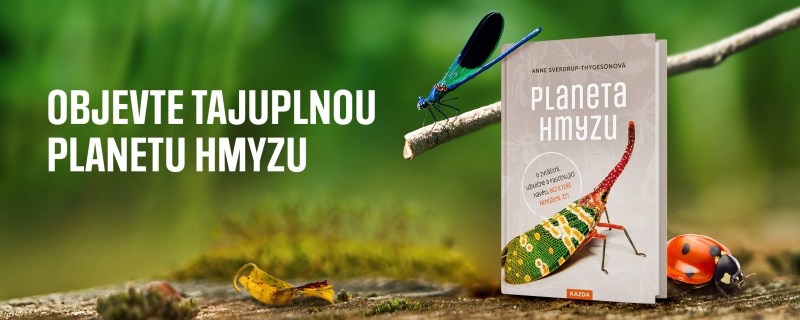 Jak si lidstvo bez hmyzu ani neškrtne