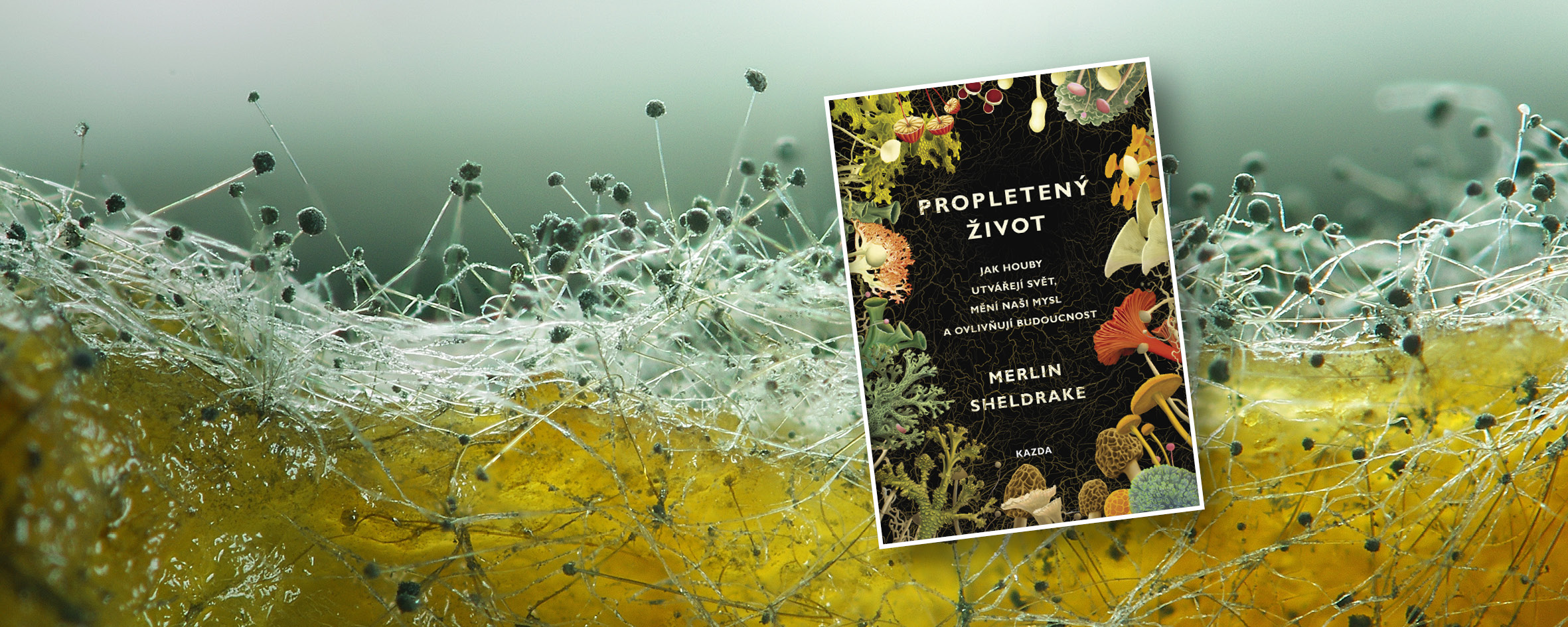 Propletený život očima čtenáře