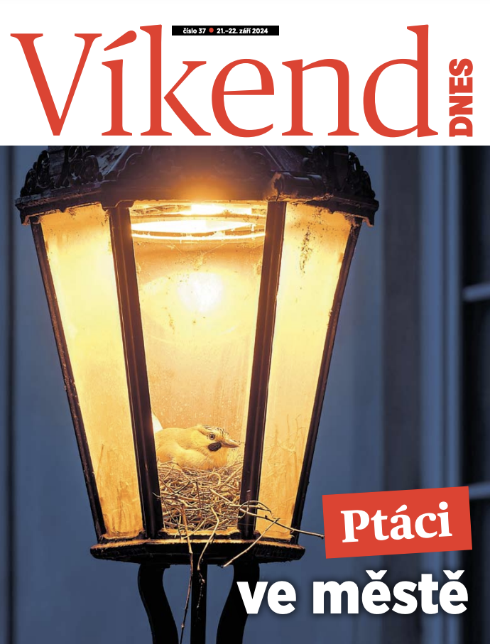 Sex, drogy a rokenrol v ptačí říši v podání Tomáše Grima