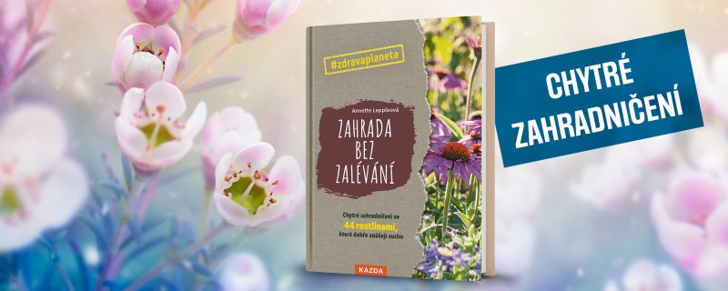 Nebaví vás zalévání? Zaměřte se na odolné rostliny