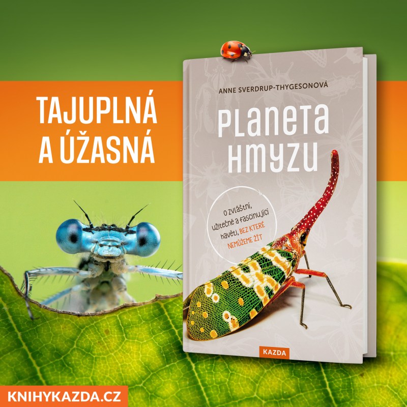 Planeta-hmyzu-banner-2048-x-2048-px-02