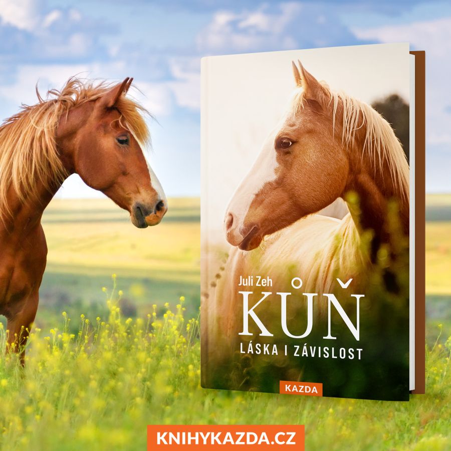 kazda-banner-Kůň----2048-x-2048-px---01